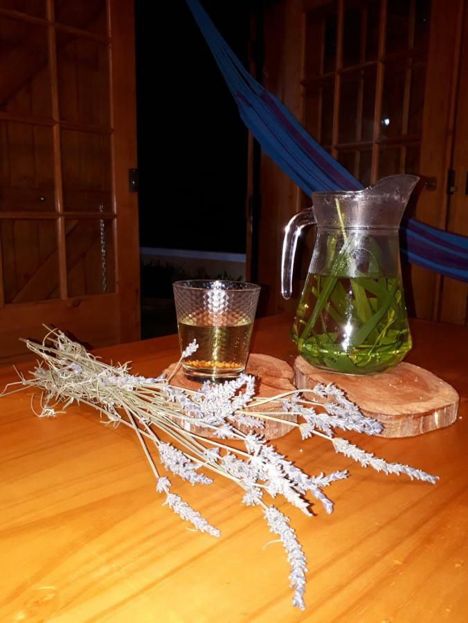 Casa Benedita Ponta do Pargo Ngoại thất bức ảnh